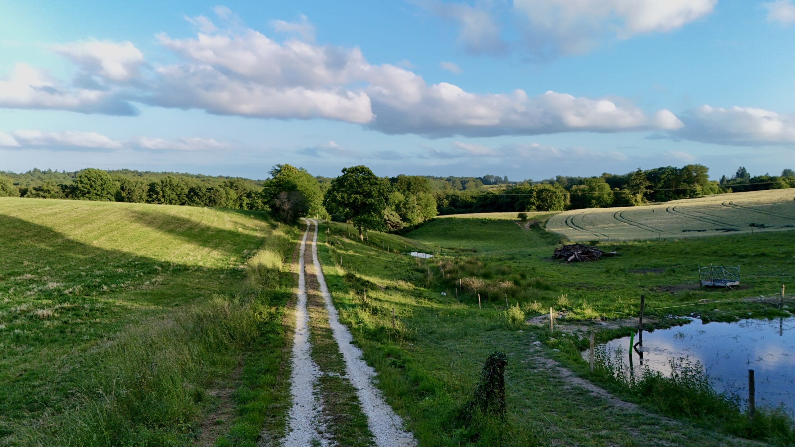 Wandelpad door het groene landschap van de Périgord Vert in de Dordogne