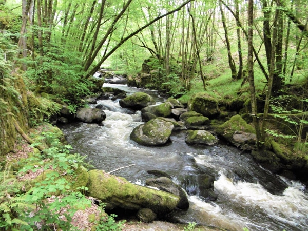 Schaduwrijk wandelpad langs de rivier op route Le Trou de Philippou in de Dordogne