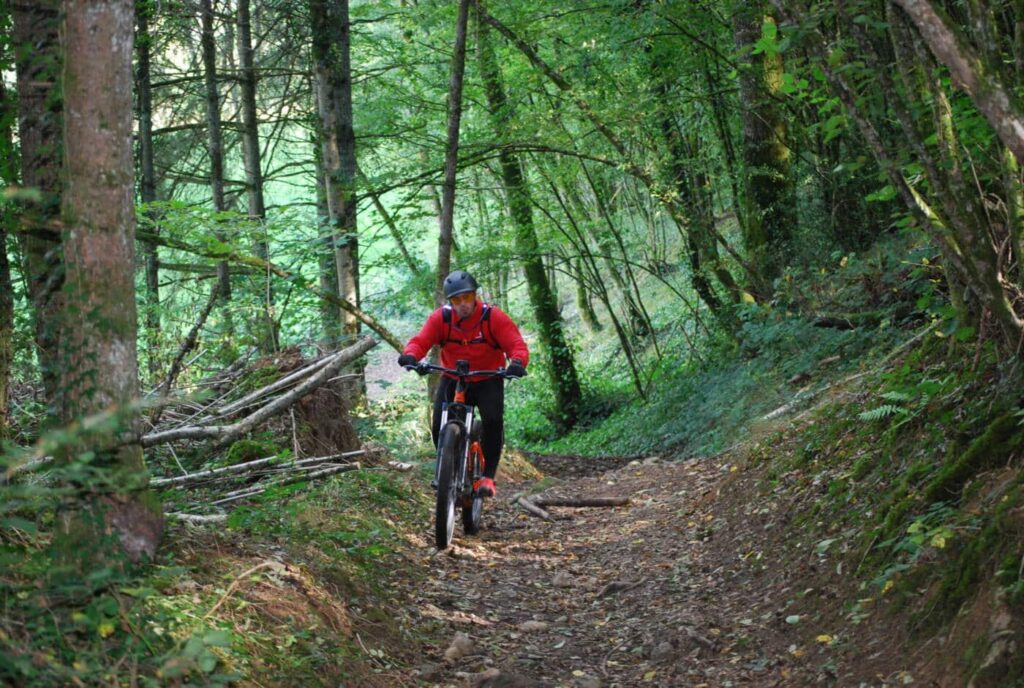 Mountainbiken door de bossen