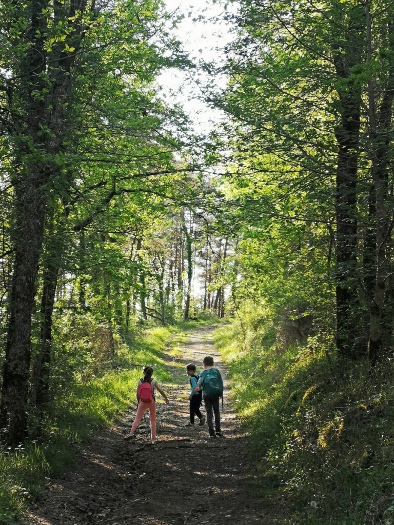 Wandelen in de natuur